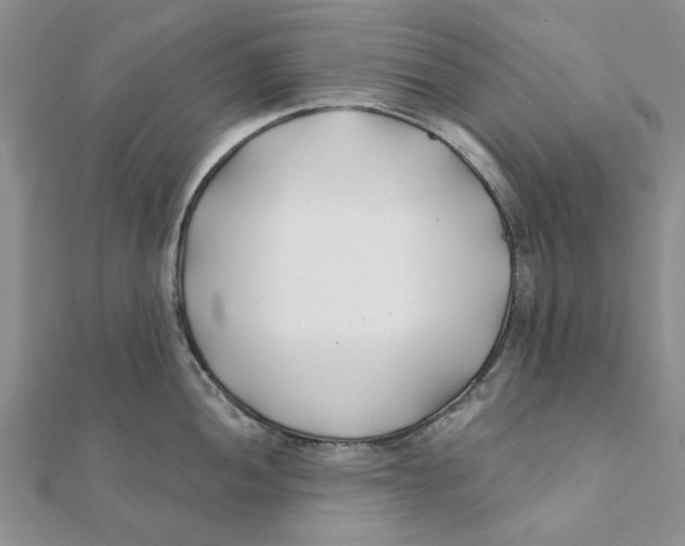 X0000111381052200908071231