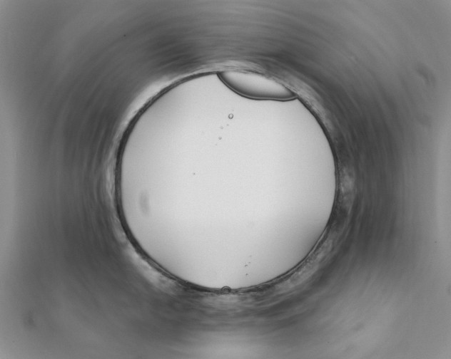 X0000111381054200908071231