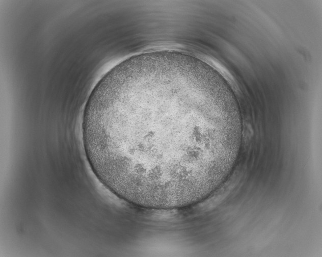 X0000111381055200908071231