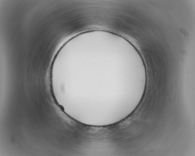 X0000111381056200908071231