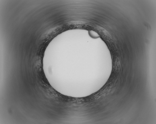 X0000111381062200908071230