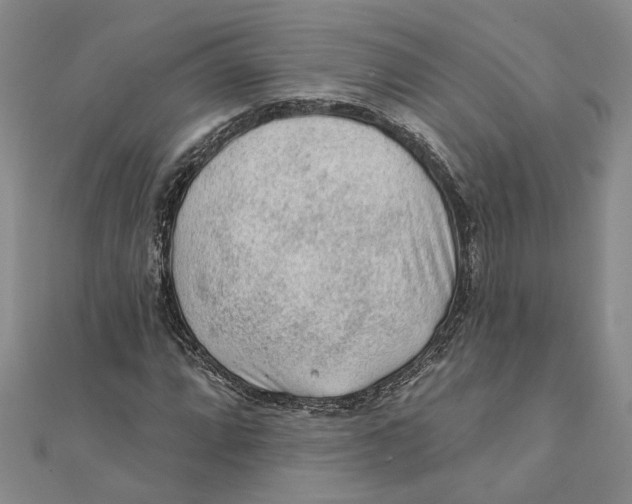 X0000111381064200908071230