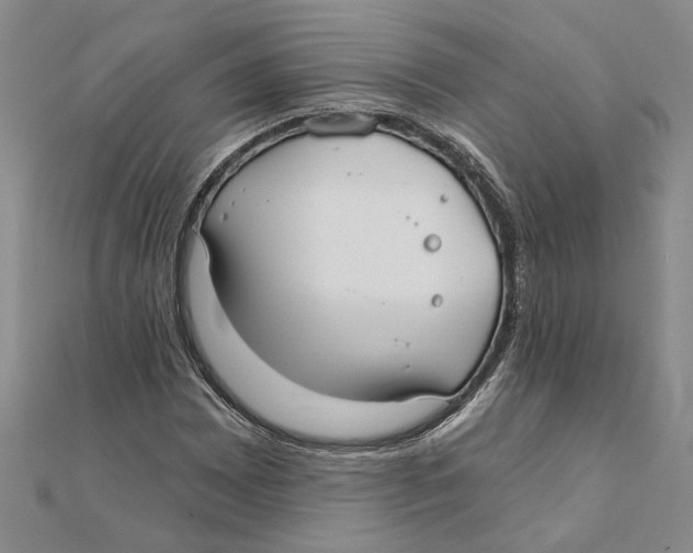 X0000111381065200908071230