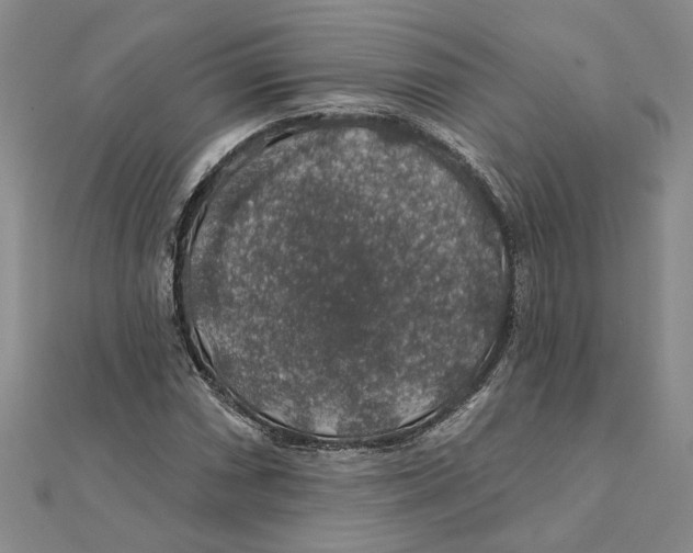 X0000111381066200908071230