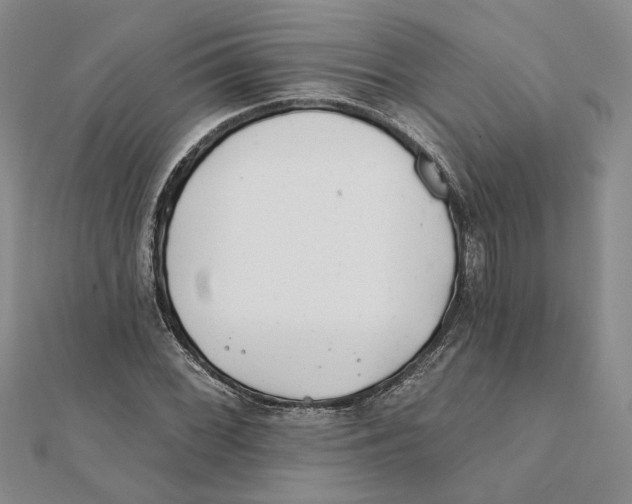 X0000111381068200908071230