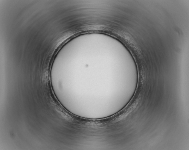 X0000111381073200908071230