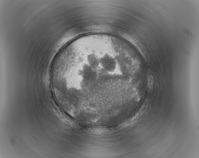 X0000111381074200908071230