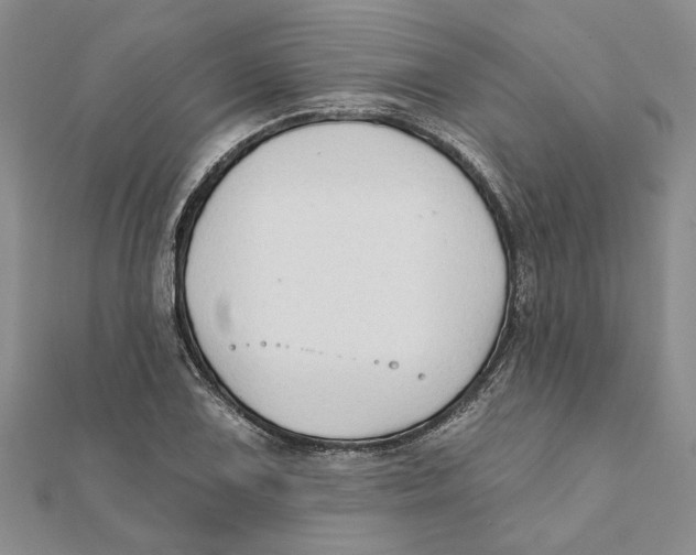 X0000111381075200908071230