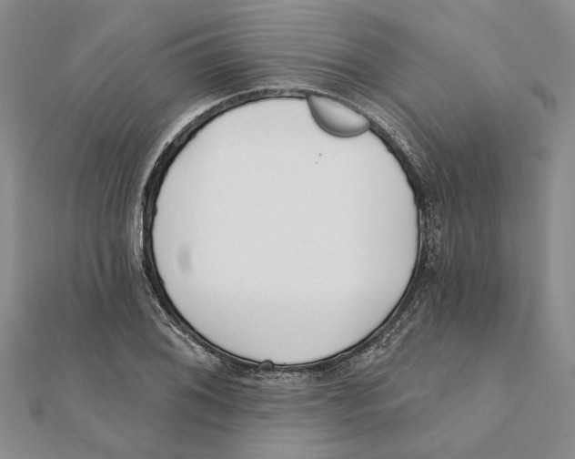 X0000111381076200908071230