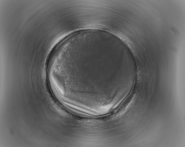 X0000111381077200908071230