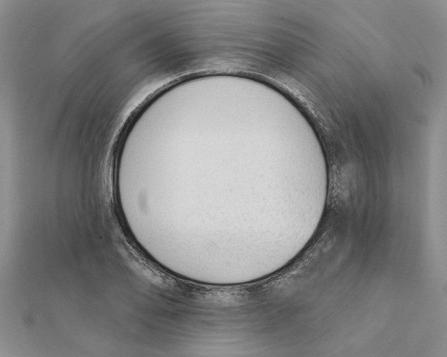 X0000111381078200908071230