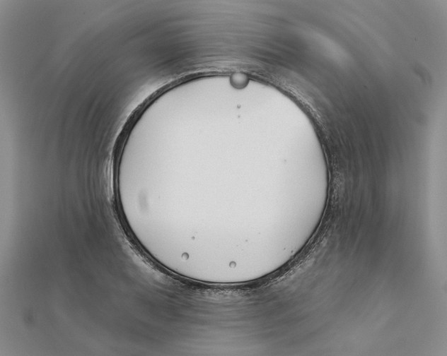 X0000111381079200908071230