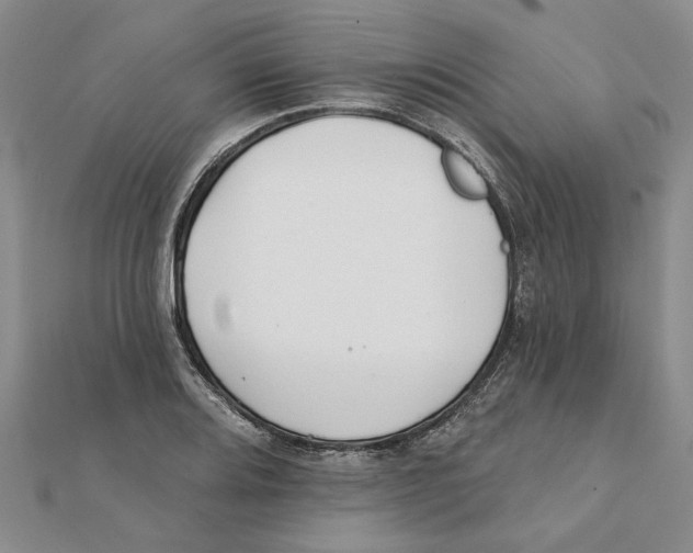 X0000111381080200908071230