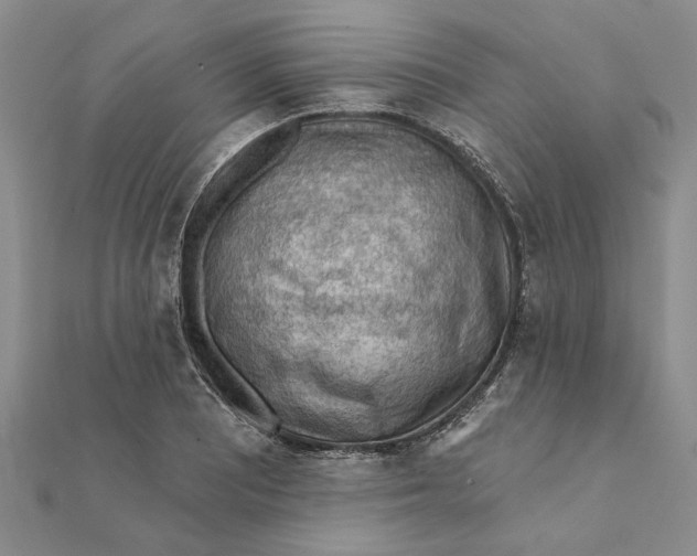 X0000111381081200908071230