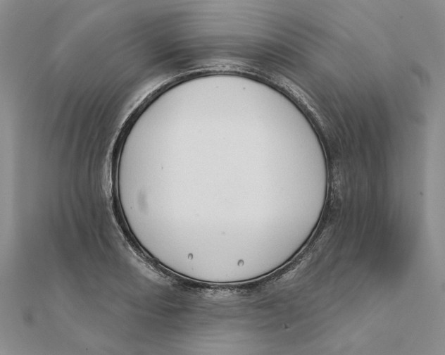 X0000111381082200908071230