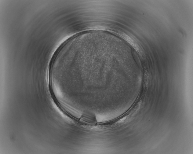 X0000111381084200908071230