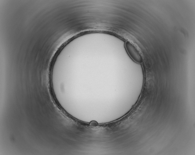 X0000111381085200908071230