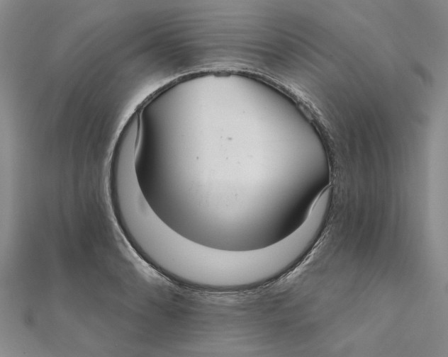 X0000111381086200908071230