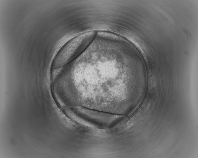 X0000111381088200908071230