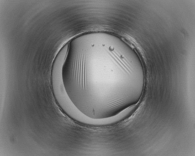 X0000111381089200908071230