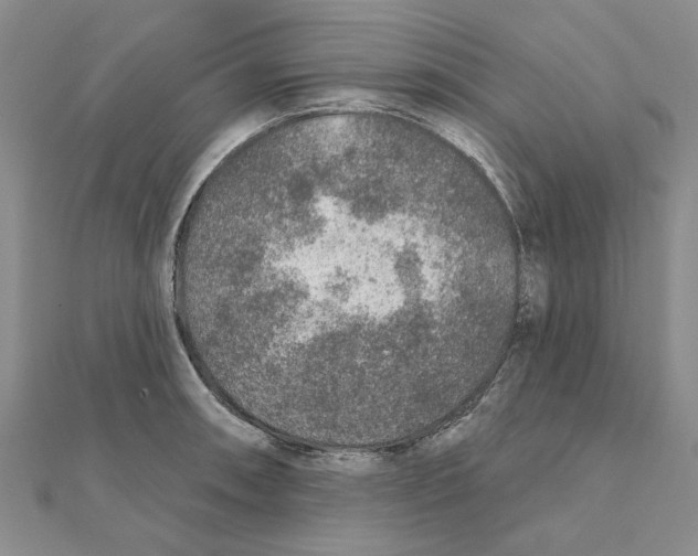 X0000111381090200908071230