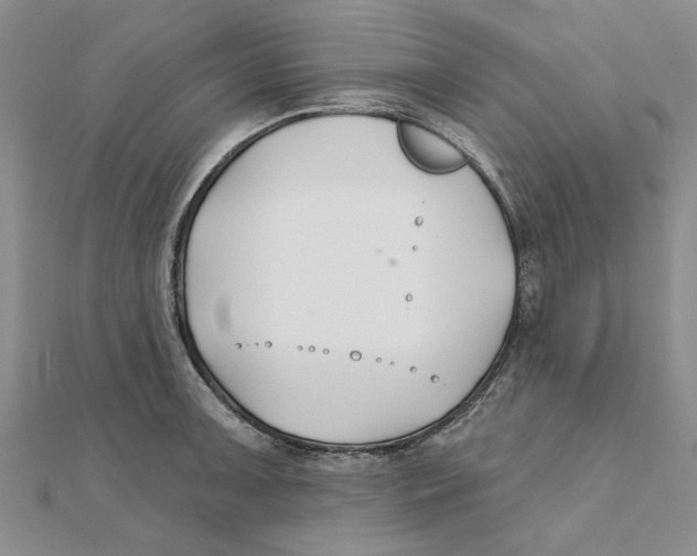 X0000111381091200908071230