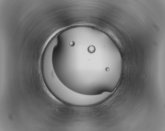 X0000111381092200908071230