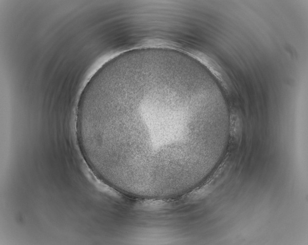 X0000111381094200908071230