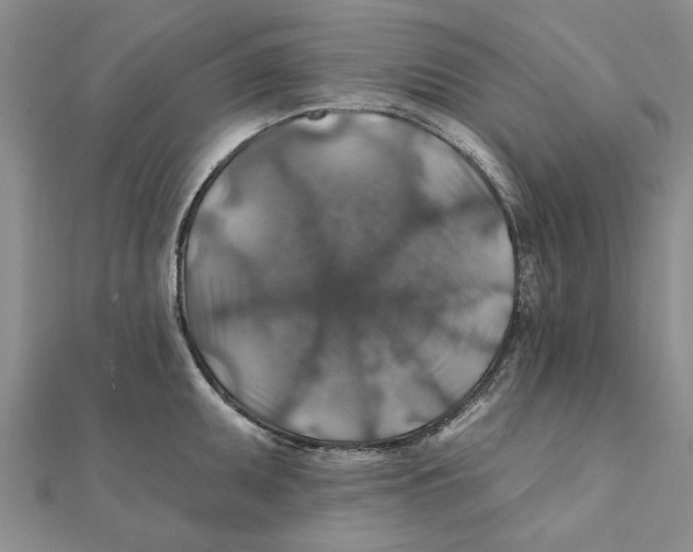 X0000111381095200908071230