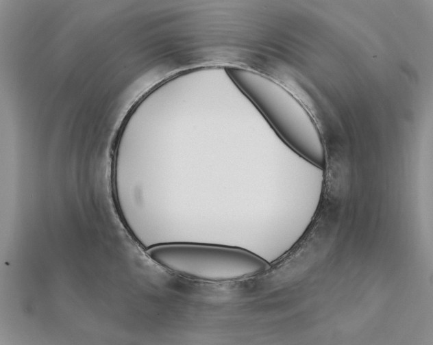 X0000111381096200908071230