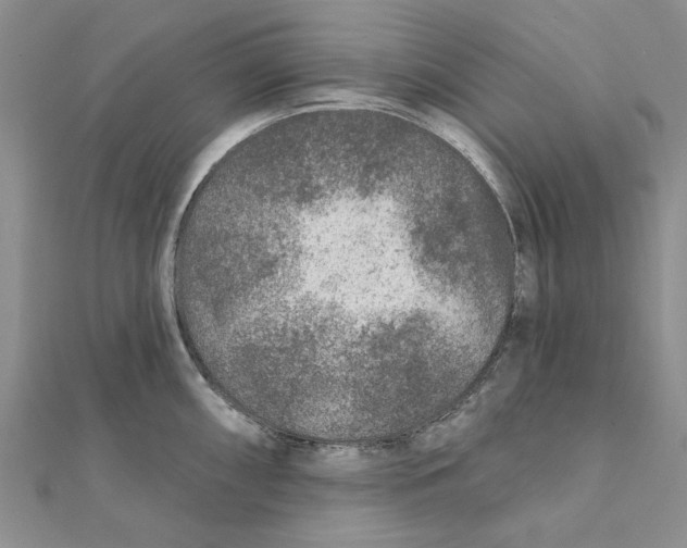 X0000111381098200908071230