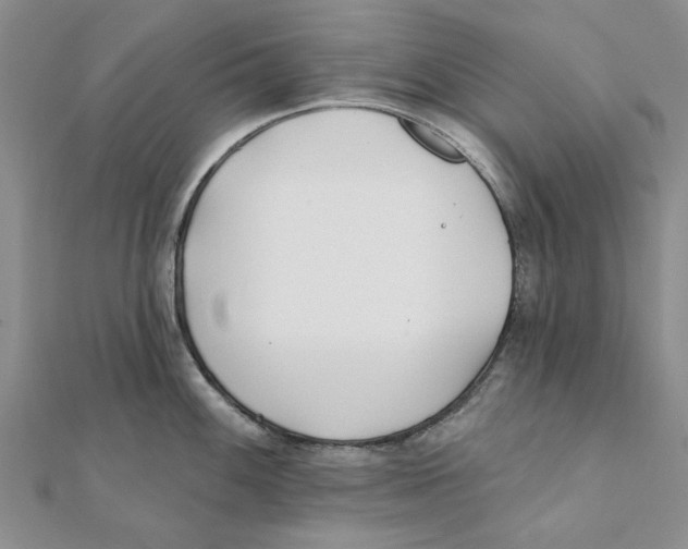 X0000111381100200908071230