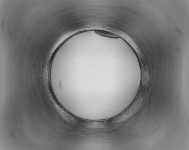 X0000111381101200908071230