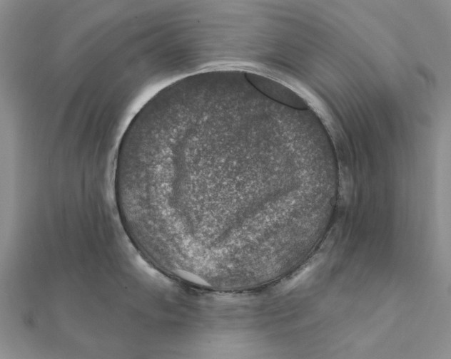 X0000111381102200908071230