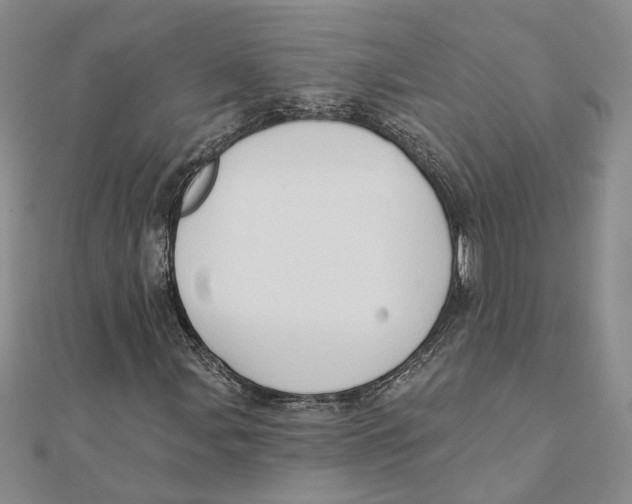 X0000111381107200908071229