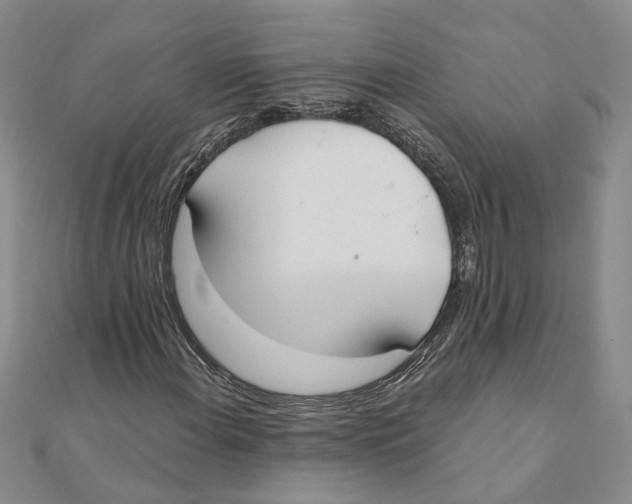 X0000111381108200908071229