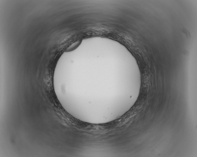 X0000111381109200908071229