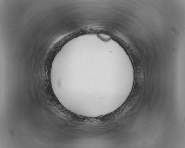 X0000111381112200908071229