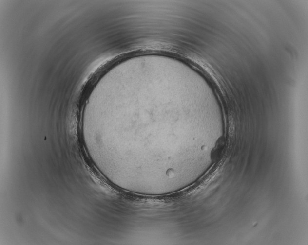 X0000111381115200908071229