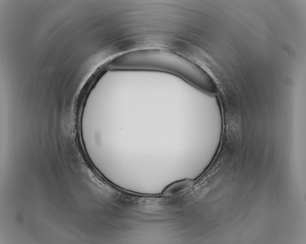 X0000111381116200908071229