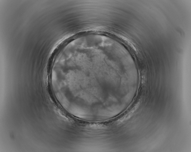 X0000111381117200908071229