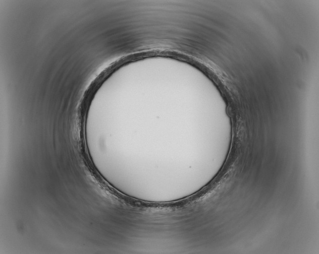 X0000111381118200908071229