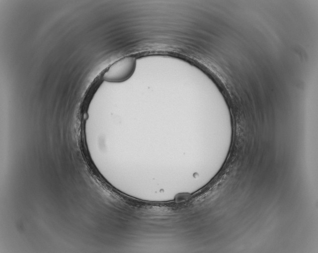 X0000111381119200908071229