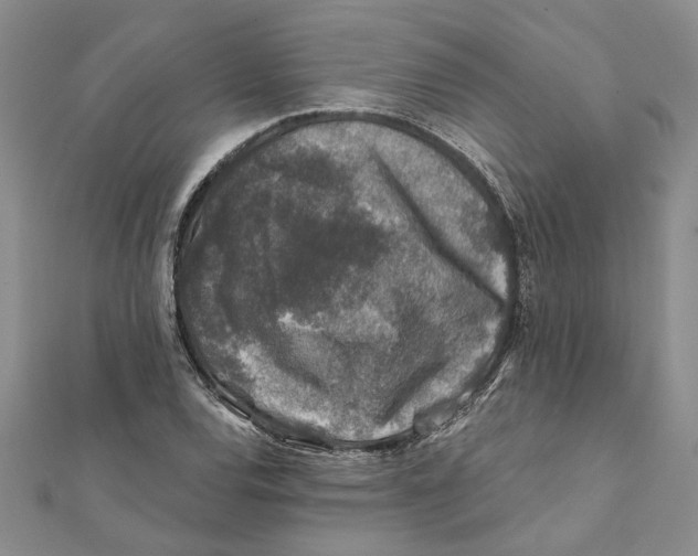 X0000111381120200908071229