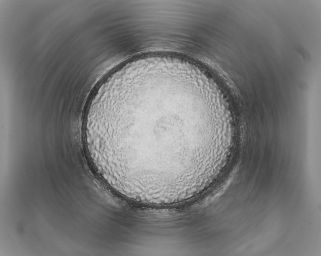 X0000111381121200908071229