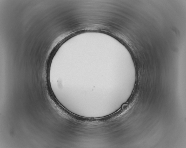 X0000111381122200908071229