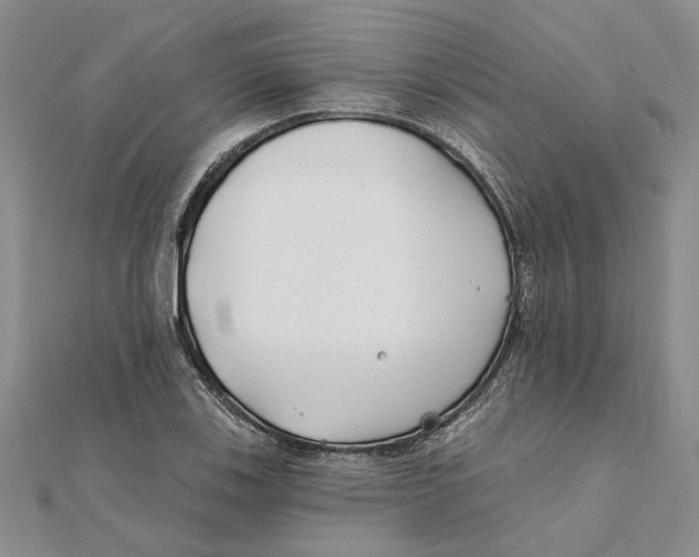 X0000111381123200908071229