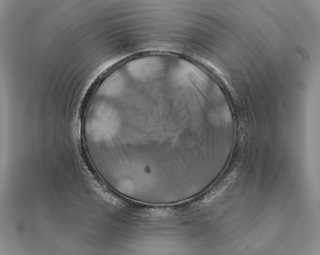 X0000111381125200908071229