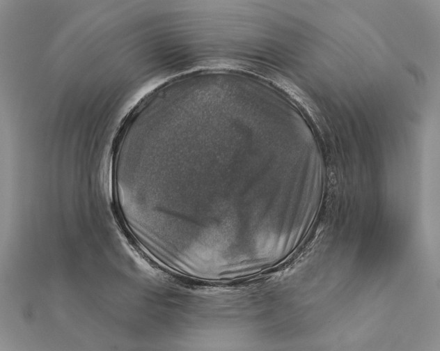 X0000111381127200908071229