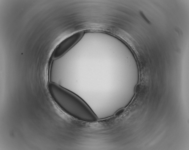 X0000111381128200908071229